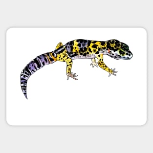 Gecko Magnet